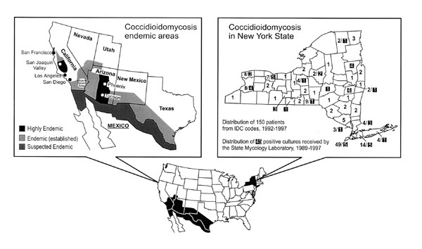 Coccidioidomycosis in New York, 1989–1997. The figure on the left highlights coccidioidomycosis-endemic areas in the United States (adapted from Kirkland TN, Fierer [2]). The figure on the right depicts New York countywide distribution of 150 out of 161 patients in the discharge records (1992–1997); the highlighted numbers show counties from which 45 of the 49 Coccidioides immitis cultures were referred to the state mycology laboratory (1989–1997).