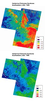 Thumbnail of Comparison of predicted HPS risk for 1993 (top) and 1996 (bottom) by satellite imagery taken in 1992 and 1995, respectively, in the study area. Low-risk areas are in dark blue and high-risk areas are in red and yellow. There was a significant reduction in predicted high-risk areas in 1996 compared with 1993.
