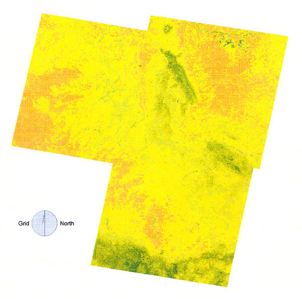 The normalized difference vegetation index (NDVI) scores of the study area by Thematic Mapping bands 3 and 4. Vegetation growth increased from brown though yellow to green. There was a substantial portion of high-risk area (especially the eastern portion of the image) where the NDVI image pixels did not obviously correspond to high-risk areas (see Figure 3 for comparison).