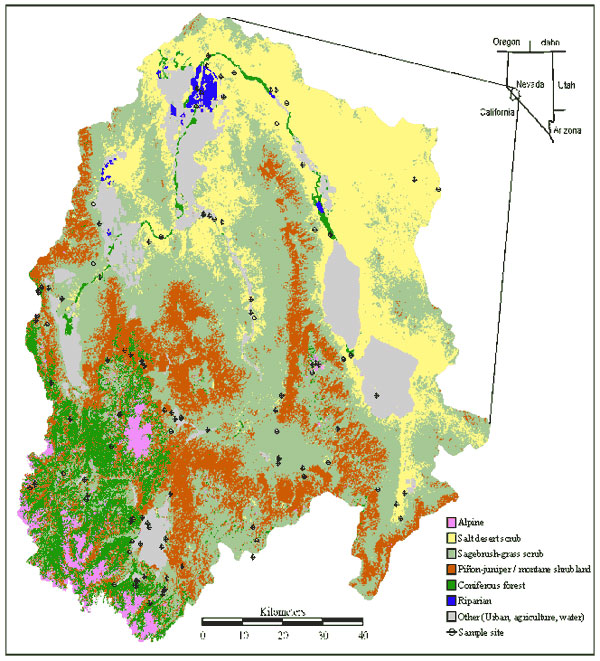 Location of Walker River Basin (17) and its eight major vegetation types, as well as developed areas. Piñon-juniper woodland and montane shrubland tend to be highly interspersed and were combined for visual clarity. Because meadows occurred in very small patches, they could not be represented on this map. Map generated at Utah State University as part of the GAP conservation mapping project.