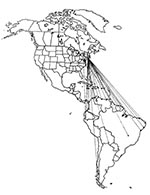 Thumbnail of Caribbean/Western North Atlantic migration pattern of the Common Tern (Sterna hirundo), as shown by band returns. From Bull's Birds of New York State (37). Stars on the figure denote banding location; dots denote recovery location.