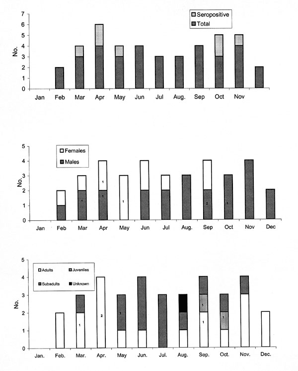 Temporal patterns of deer mice trapped in urban and suburban homes, November 1996 to September 1999. Numbers inside bars indicate seropositive mice.