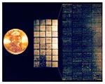 Thumbnail of DNA microarray--Lymphochip. (Center) Lymphochip version 8.0, printed on a coated glass microscope slide using a 32-tip printing head, contains 17,856 cDNA clones (overhead illumination) (14). (Left) U.S. penny, for scale. (Right) Scanned image demonstrating differential hybridization of Cy3- and Cy5-labeled cDNA to this microarray. (Illustration by A. Alizadeh, M. Eisen, and P. Brown, Stanford University; and L. Staudt, National Cancer Institute).