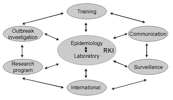 Integrated strategies used by the Robert Koch Institute (RKI) for the development of applied infectious disease epidemiologic capacity in Germany.