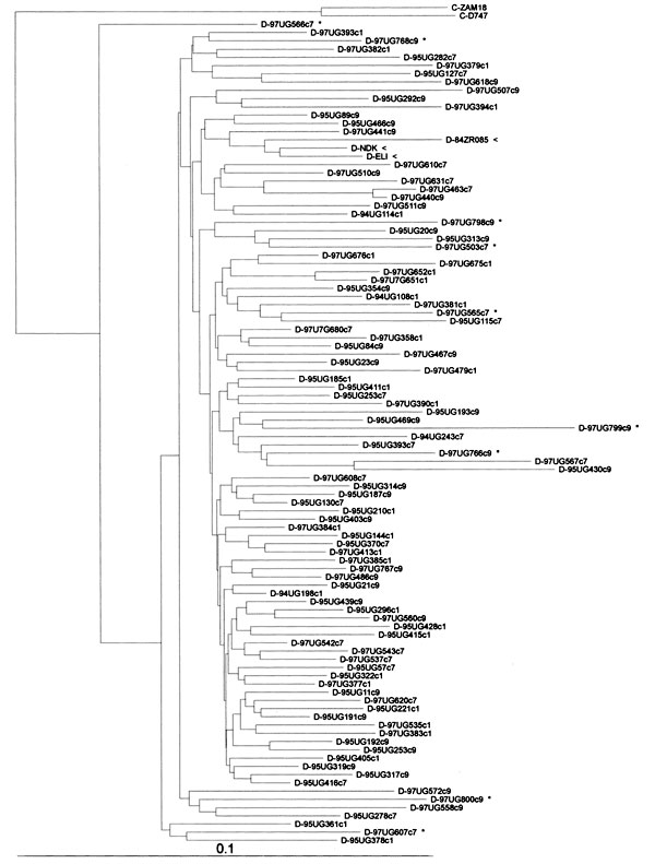 Phylogenetic classification of env gp41 HIV-1 sequences from Ugandan (UG) patients (GenBank accession numbers for subtypes A and D are pending). Numbers before the abbreviation UG indicate the year of specimen collection; c1, c7, and c9 denote the UVRI, Mulago, and Nsambya clinics, respectively. The trees were constructed on the basis of 354-bp DNA sequences by the neighbor joining method with nucleotide distance datum sets calculated by Kimura's two-parameter approach and rerooted by using SIV-