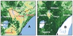 Thumbnail of Figure 1&nbsp;-&nbsp;Images from advanced, very high resolution radiometer instrument on a National Oceanic and Atmospheric Administration satellite comparing normalized difference vegetation index data (as a surrogate for rainfall), from December 1996 (A) and December 1997 (B). Increasing vegetation is depicted from tan to yellow [predominating in part (a)], to light and dark green [predominating in (b)].