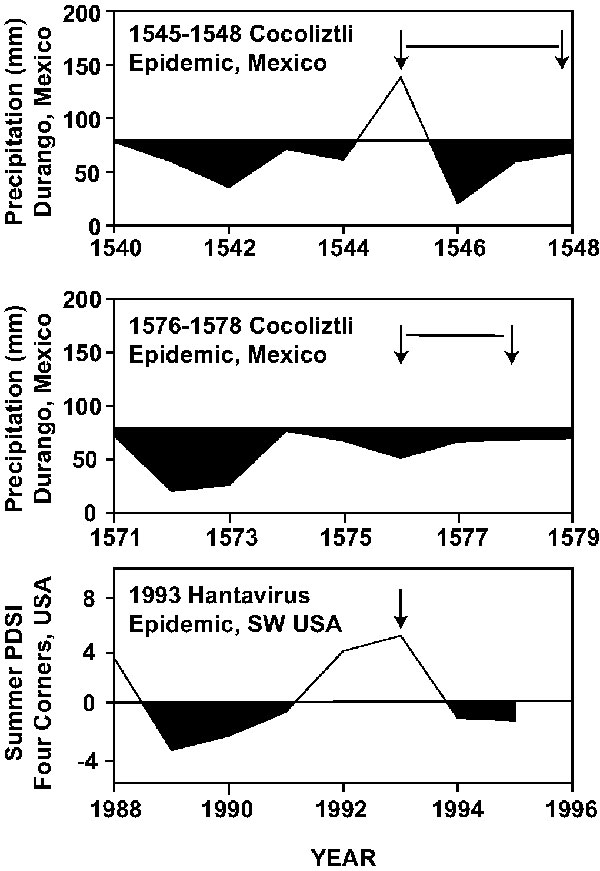 The winter-spring precipitation totals estimated for each year in Durango, 1540–1548 (top), 1571–1579 (middle). Compared with the Palmer drought index, southwestern USA 1988–1995 (bottom). A tenfold increase in deer mice was witnessed in the southwestern USA during the 1993 outbreak, a year of abundant precipitation following a prolonged drought. The similar dry-wet pattern reconstructed for the 1545 epidemic of cocoliztli may have impacted the population dynamics of the suspected rodent host to aggravate the epidemic.