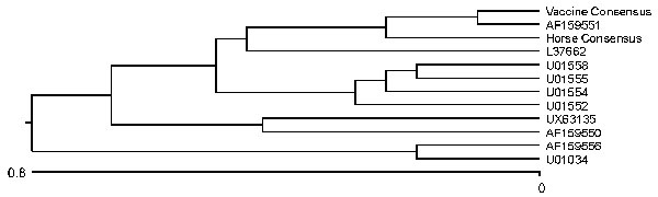 Phylogram based on nucleotide comparison from the E1 region of a horse infected with Eastern equine encephalomyelitis virus.