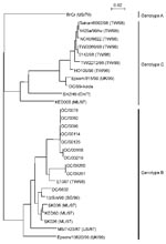 Thumbnail of Phylogenetic analysis based on the human enterovirus 71 (HEV71) VP4 nucleotide sequences. The phylogenetic tree was constructed as described in the Figure 1 legend. The genotypes of the HEV71 cluster are denoted on the right. The VP4 sequences of 18 HEV71 strains available from GenBank are denoted by strain name, followed by the country and year isolated. Abbreviations for countries are as follows: US, United States; ML, Malaysia; CH, China; UK, United Kingdom; TW, Taiwan; and SG, Singapore. The accession numbers are as follows: BrCr; U22521, Tainan/6092/98; AF304459, 1425a/98/tw; AF176044, NCKU9822; AF136379, TW/2086/98; AF119796, 5142/98; AB037251, TW/2272/98; AF119795, HO106/98; AB037252, Epsom/815/99; AJ296213, SHZH9; AF302996, KED005; AB051334, E1387; AB051313, 13/Sin/98; AF251358, SK036; AB051333, KED60; AB051335, SK026; AB051332, MS/7423/87; U22522, Epsom/10620/99; and AJ296214.