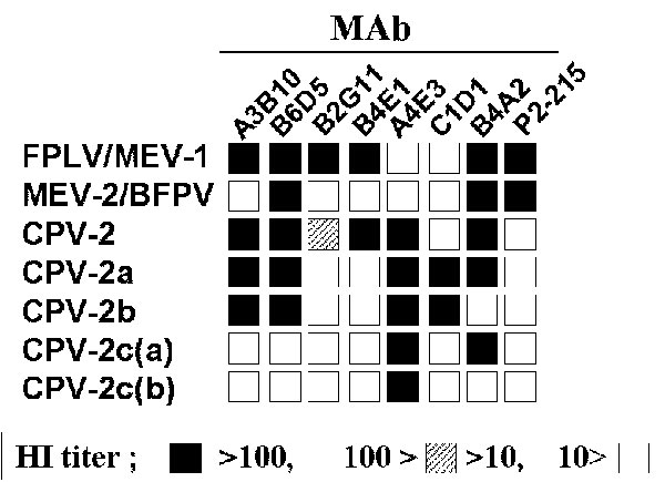 Antigenic profile of feline parvoviruses, including Canine parvovirus 2c (CPV-2c) types. Subtype-specific monoclonal antibodies are used to type the viruses in a hemagglutinin-inhibition test (HI). Mink enteritis virus (MEV-3) shows similar patterns to MEV-2  (2). FPLV = Feline panleukopenia virus; BFPV = blue fox parvovirus.