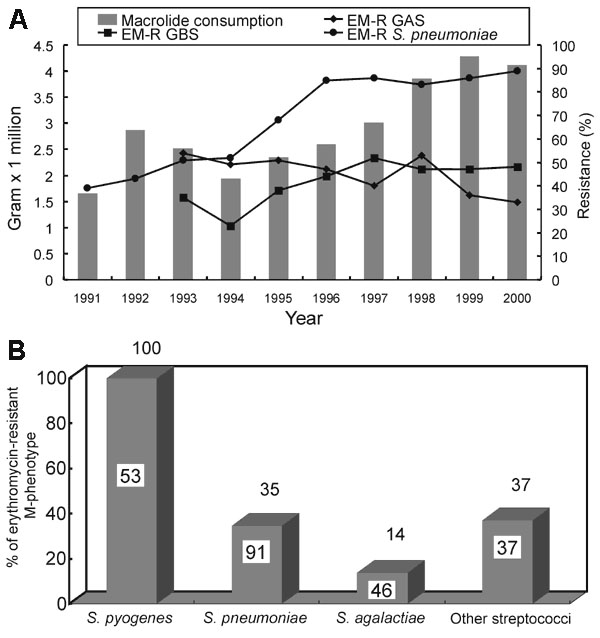 A, Macrolides consumption (gram x 1000,000) in Taiwan and the trends of erythromycin-resistant group A Streptococcus (EM-R GAS), group B Streptococcus (EM-R GBS), and S. pneumoniae in National Taiwan University Hospital from 1991 to 2000. Macrolides include intravenous and oral forms of erythromycin and oral forms of clarithromycin, roxithromycin, and azithromycin. B,. Distribution of erythromycin-resistant M-phenotype among isolates of streptococci. Other streptococci include Groups C, F, and G