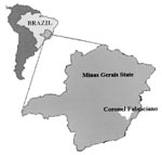 Thumbnail of Map of Brazil and Minas Gerais State, showing Coronel Fabriciano municipality.