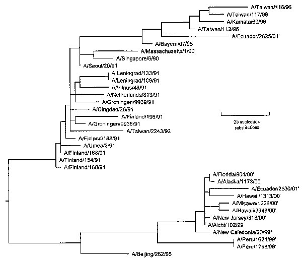 An unrooted phylogenetic analysis of the HA1 gene nucleotide sequence of influenza A H1N1 viruses isolated since 1990. Peru isolates 1621 and 1798 are within the Beijing/262/95 lineage but are more similar to A/New Caledonia/20/99. A number of isolates characterized by Brooks Air Force Base from 1999 to 2001 were also A/NC/20/99-like. The tree was generated by using the Jotun-Hein algorithm (6) in MegAlign software (version 3.18). Horizontal lines are proportional to the number of substitutions between branch points. Asterisk (*) denotes 2000/01 vaccine strain; (1) denotes isolates characterized by Brooks Air Force Base. Brooks Air Force Base isolates are available from Genbank under accession numbers AF268312, AF268313 and AY029287-AY029292.