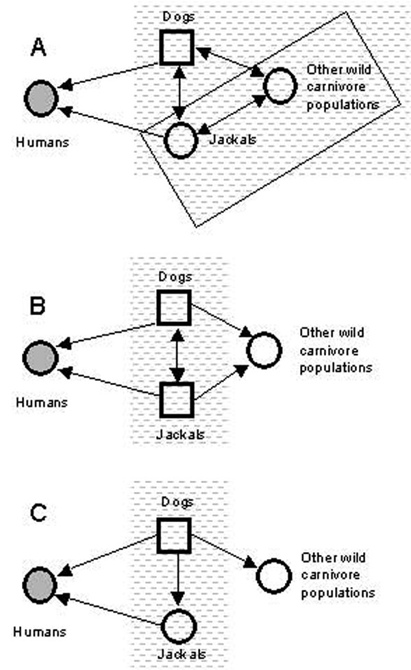 Potential complexity of rabies reservoirs in Zimbabwe. If jackals with (A) or without (B) other wild carnivore populations constitute a maintenance community independent of dogs, then vaccination of dogs alone will not result in rabies elimination in the target. If jackals do not constitute a maintenance community independent of dogs (C), then dog vaccination should clear rabies from the reservoir (symbols as in Figure 1).