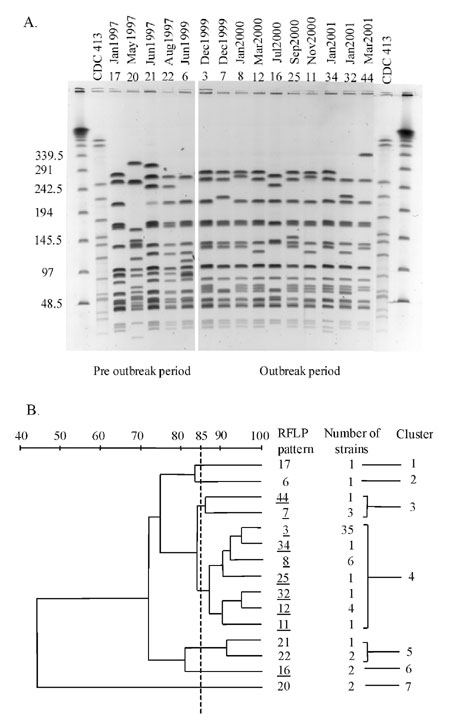 A, restriction fragment length polymorphism (RFLP) analysis of Neisseria meningitidis serogroup C strains generated by pulsed-field gel electrophoresis (PFGE) by using the Spe I restriction endonuclease. The strain CDC-413 was used as a control for the PFGE. B, dendogram analysis generated from “A.” Percent identity is shown at the top. The RFLP pattern designation is shown on the right. RFLP patterns not underlined were seen from January 1997 to November 1999. Underlined RFLP patterns were seen