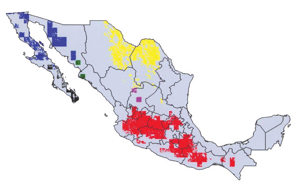 Modeled geographic distributions of members of the protracta species complex: red = Triatoma barberi, yellow = T. p. woodi, green = T. sinaloensis, blue = T. p. protracta, black = T. peninsularis, and pink = T. p. zacatecensis. Only areas predicted for each species at the highest level of confidence (all best-subsets models agree) are shown.