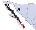 Thumbnail of Modeled geographic distributions of Triatoma peninsularis (red) and Neotoma lepida (black), showing the tight geographic correspondence between the distribution of insect and host mammal. Almost all (93.8%) of the distribution area of T. peninsularis overlaps the distribution area of N. lepida.