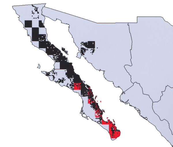 Modeled geographic distributions of Triatoma peninsularis (red) and Neotoma lepida (black), showing the tight geographic correspondence between the distribution of insect and host mammal. Almost all (93.8%) of the distribution area of T. peninsularis overlaps the distribution area of N. lepida.