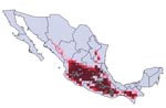 Thumbnail of Modeled geographic distribution of Triatoma barberi, shown with known occurrence points used to create and test the ecologic niche model. Dark red = 100% of best-subsets models predict presence, medium red = 75% of best-subsets models predict presence, light red = 50% of best-subsets models predict presence, lightest red = any best-subsets model predicts presence.