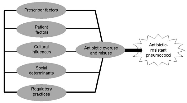 Framework of nonmicrobiologic factors influencing outpatient antibiotic use and prevalence of pneumococcal resistance.