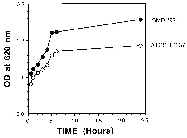 Graph showing kinetics of adherence by SMPD92 and ATCC 13637. Bacteria were allowed to bind to the plastic for 72 h and then were stained with crystal violet. Bacterial uptake of the dye was measured at 620 nm. Closed and open circles represent SMDP92 and ATCC13637, respectively.