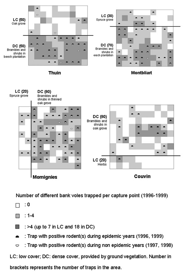 Distribution of trapped bank voles through 1996–1999 and representation of the vegetation cover. On each grid, the 100 live traps are represented by white, light, or dark gray squares. LC, low cover; DC, dense cover provided by ground vegetation. Number in parentheses is the number of traps in the area.
