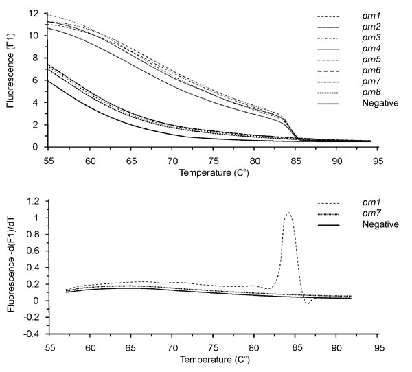 A. Melting curves from the allele-specific amplification assay, showing the presence of amplified products from prn1-5 and the absence of amplification from prn6-8 and the negative control. B. Corresponding melting peaks derived from the melting curve. Prn1 represents the prn1-5 types; prn7 represents prn6-8 types and the negative control.