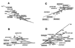 Thumbnail of Enlargement of branches A to D from the Mycobacterium tuberculosis phylogenetic tree (Figure 2). Numbers in standard characters refer to spoligotype numbers according to our database; those in boxes describe both the spoligotype number and variable number of tandem DNA repeats (VNTR) allele designations. Italicized numbers refer to spoligotype followed by the Houston spoligotype designation (12), and the major genetic groups 1 to 3 defined on the basis of katG283-gyrA95 allele combi