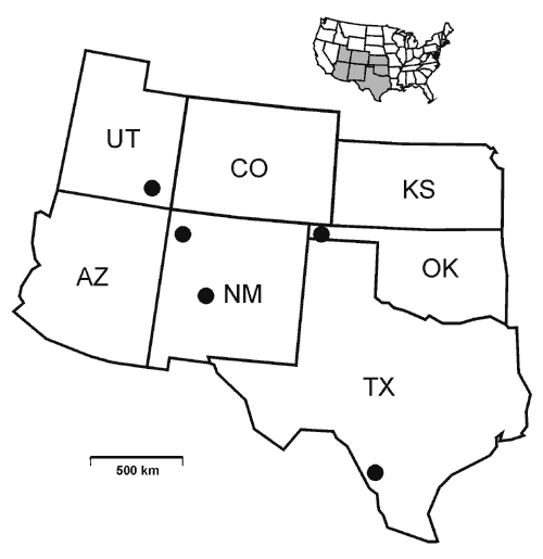 Locations of 14 arenavirus-positive Neotoma rodent collections. San Juan County, southeastern Utah = N. cinerea and N. mexicana (one virus-positive animal each species); Cimarron County, western Oklahoma = N. albigula (2); McKinley County, northwestern New Mexico = N. albigula (2); Socorro County, central New Mexico = N. mexicana (3); Dimmit and La Salle counties (Chaparral Wildlife Management Area), southern Texas = N. micropus (5). The map inset shows the location of study area.