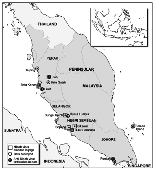 Primary sampling locations of bats, Malaysia.