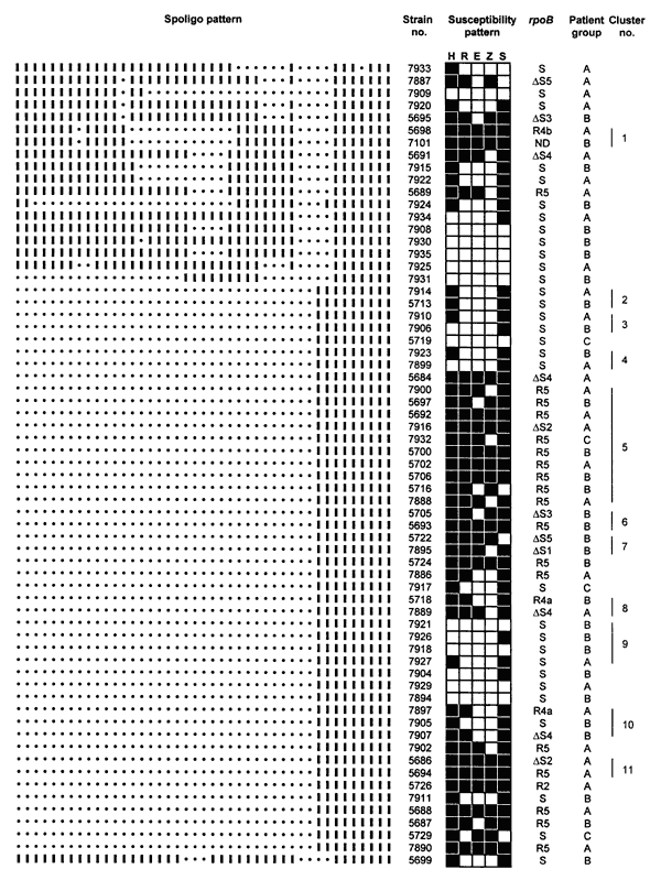 Spoligotypes of the 65 strains of M. tuberculosis analyzed, drug susceptibility patterns, and type of mutation on the rpoB gene conferring rifampin resistance (rpoB). H = isoniazid; R = rifampin; E = ethambutol; Z = pyrazinamide; S = streptomycin. Black fields indicate resistance; blank ones susceptibility. S = wild type (RMPS); mutations (RMPR): DS1; DS2; DS3; DS4; DS5; R2; R4a; R4b; R5; ND = not done. Group A = nonresponders; Group B = new cases; and Group C = relapsed cases.