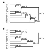 Thumbnail of Dendrograms depicting the relationships among bfpA alleles (A) and predicted bundlin proteins (B). Percentage identities are indicated.