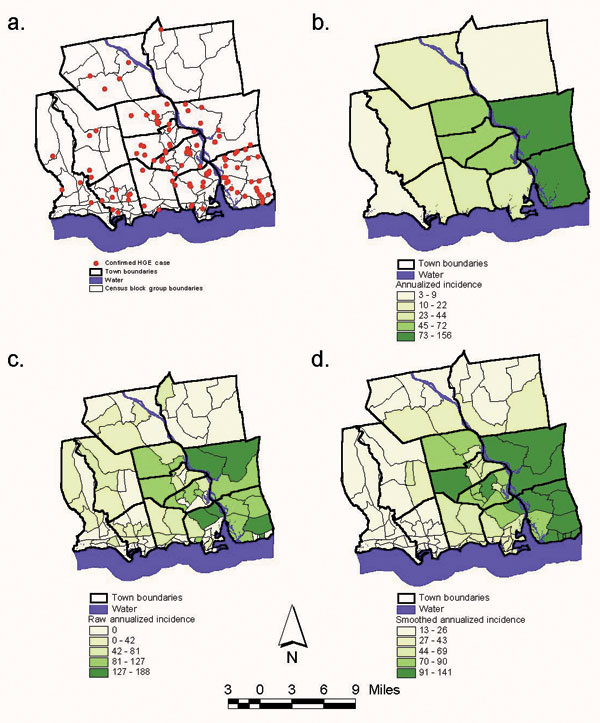 a. Confirmed human granulocytic ehrlichiosis (HGE) cases identified through active and passive surveillance systems, 1997–2000; b. Raw annualized incidence of confirmed HGE cases by town, 1997–2000*; c. Raw annualized incidence of confirmed HGE cases by census block group*; d. Smoothed annualized incidence of confirmed HGE cases by census block group.* *Cases per 100,000 persons.