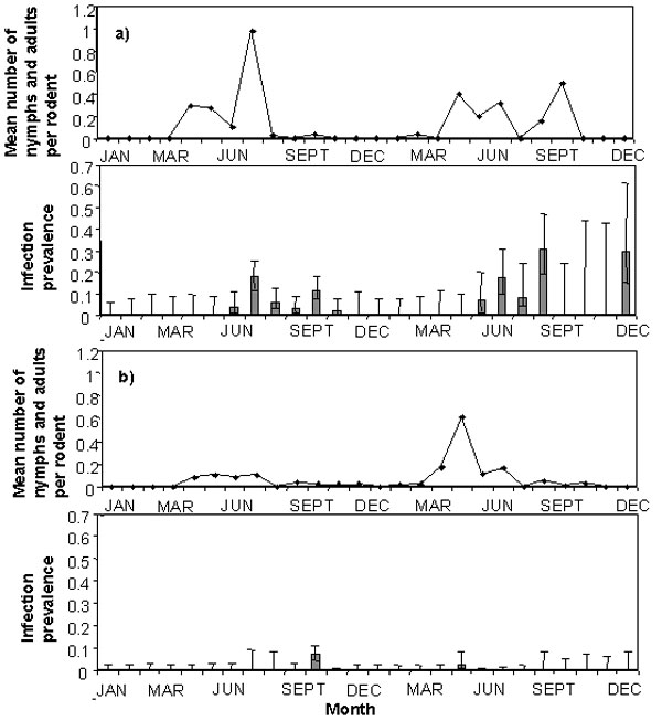 Prevalence of infection of Anaplasma phagocytophila (bar graphs +/- exact binomial errors) in blood samples collected from bank voles (graph marked a) and wood mice (graph marked b) compared to the mean monthly numbers of nymphal and adult Ixodes trianguliceps ticks counted per rodent at the time blood samples were collected (line graphs), 1997–1998.