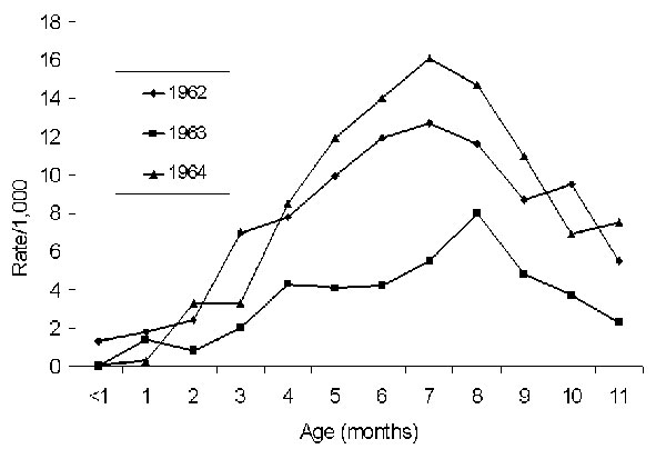 Age-specific hospitalization rates/1,000 infants with dengue hemorrhagic fever/dengue shock syndrome, Bangkok, Thailand, 1962–1964. Source: Halstead SB, et al. Am J Trop Med Hyg (17); cited with permission.