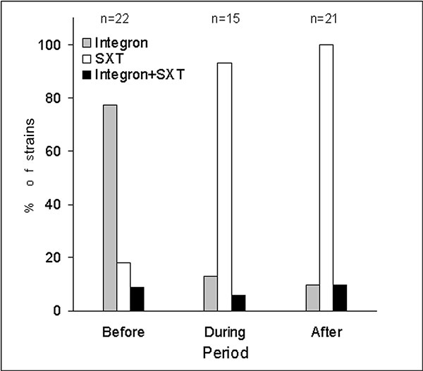 Distribution of class I integrons and SXT elements in Vibrio cholerae El Tor strains isolated before, during, and after the O139 outbreak.