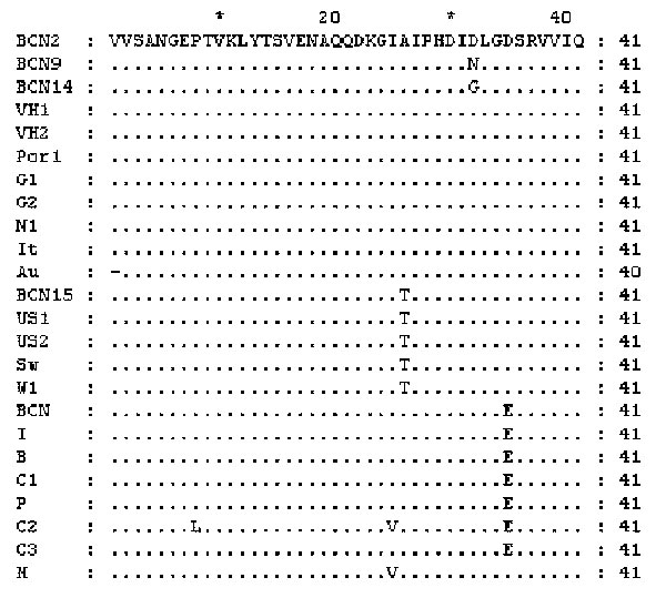 Amino acid alignment from representative isolates in this study with other Hepatitis E virus strains. Amino acid sequences from BCN3–BCN8, BCN10–BCN13, and BCN16 are identical to BCN2. Dots indicate sequence identities.