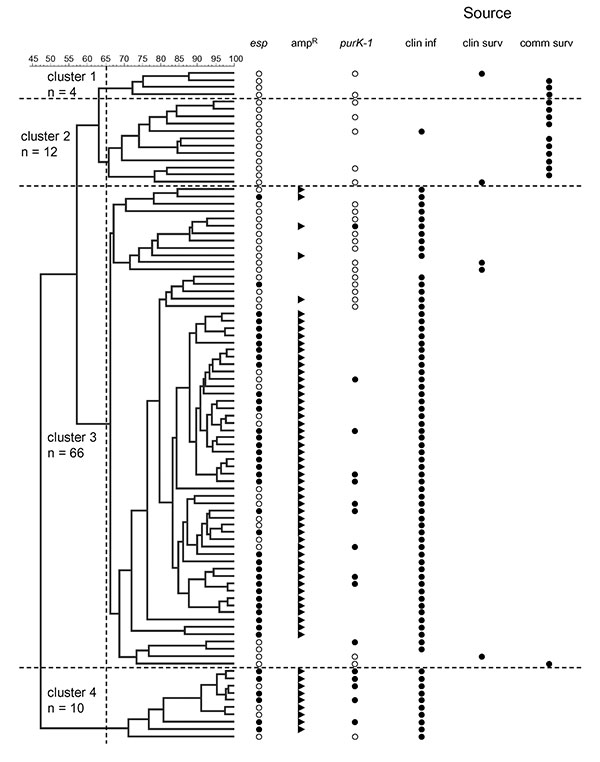 Cluster analysis of vancomycin-susceptible Enterococcus faecium (VSEF) isolates originating from clinical infections and clinical and community surveys. VSEF (n=92) were genotyped by amplified fragment length polymorphism (AFLP). Grouping of AFLP patterns showed four different clusters with &gt;65% similarity. Numbers on the horizontal axis indicate percentage similarity. Closed circles indicate presence of the esp gene and the purK-1 allele and also the source of the isolates. Open circles repr