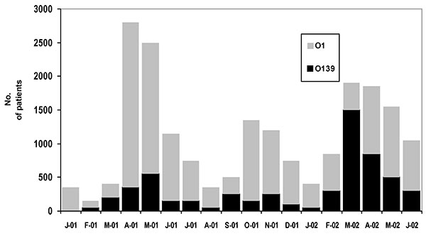 Numbers of diarrhea patients with cholera attributed to Vibrio cholerae O1 and O139 from January 2001 to June 2002. Those positive for cholera are extrapolated from a 2% sample of all patients receiving treatment.