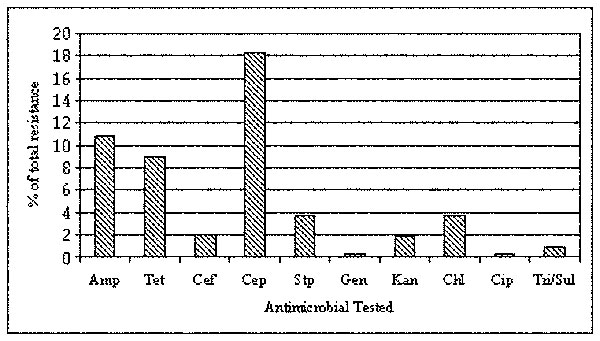 Frequency of antimicrobial resistance observed in 322 Escherichia coli isolates from irrigation water along the Texas-Mexico border.