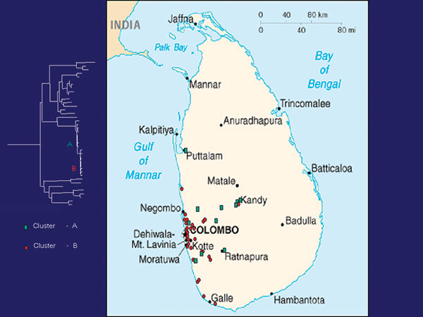 Map of Sri Lanka showing location of rabies samples included in this study. Green, cluster A; red, cluster B.
