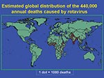 Thumbnail of Estimated global distribution of 440,000 annual deaths in children caused by rotavirus diarrhea.