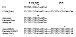 Thumbnail of Alignment of the direct repeats (DR) flanking the Salmonella genomic island 1 (SGI1) in serovars Typhimurium DT104 (DT104), Agona, Paratyphi B, and Albany. Asterisks represent nucleotide substitutions. Sen, sensitive.