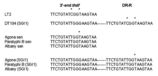 Alignment of the direct repeats (DR) flanking the Salmonella genomic island 1 (SGI1) in serovars Typhimurium DT104 (DT104), Agona, Paratyphi B, and Albany. Asterisks represent nucleotide substitutions. Sen, sensitive.