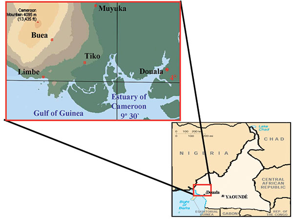 Location of townships in South West Province of Cameroon where samples were obtained.