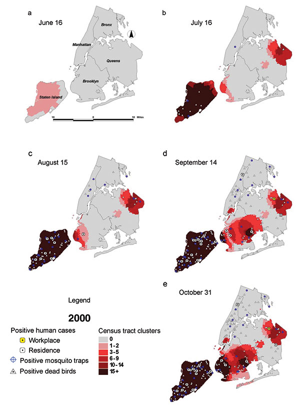 Dead bird clusters, West Nile virus (WNV)-positive dead birds, human cases, and mosquito traps, New York City, 2000. The shading represents the cumulative frequency of dead bird clusters in each census tract as of the date of analysis. Cumulative WNV-positive birds and mosquitoes are displayed on the basis of their date of collection; human cases are shown on the basis of their date of onset of illness.