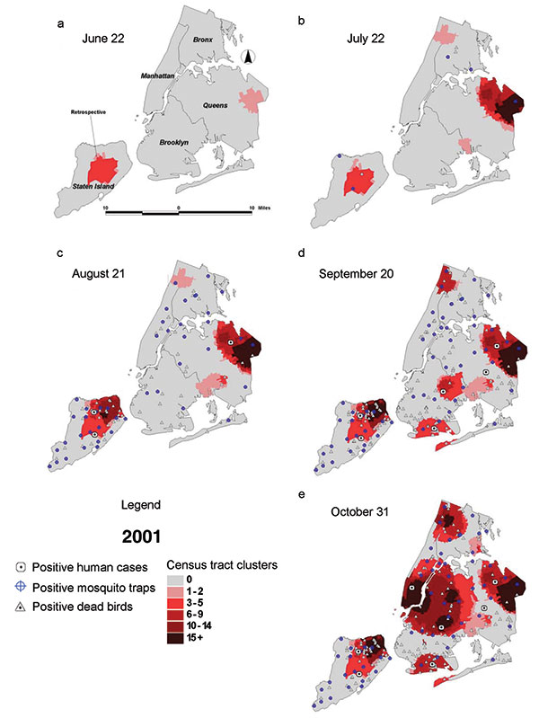 Dead bird clusters, West Nile virus (WNV)-positive dead birds, human cases, and mosquito traps, New York City, 2001. The shading represents the cumulative frequency of dead bird clusters in each census tract as of the date of analysis. Cumulative WNV-positive birds and mosquitoes are displayed on the basis of their date of collection; human cases are shown on the basis of their date of onset of illness.
