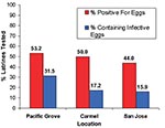 Thumbnail of Percentage of raccoon latrines that tested positive for Baylisascaris procyonis eggs and those containing potentially infective eggs (number of latrines = 215).