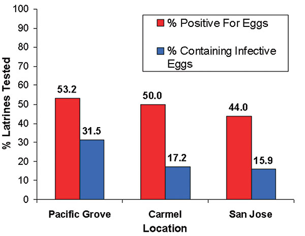 Percentage of raccoon latrines that tested positive for Baylisascaris procyonis eggs and those containing potentially infective eggs (number of latrines = 215).