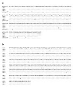 Thumbnail of Genetic variation in the nucleotide sequences of Giardia microti parasites in the small subunit ribosomal RNA (SSU rRNA) (a) and triosephosphate isomerase (TPI) (b) genes.